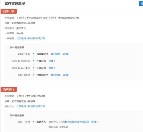 比特大陸關聯公司成被執行人，執行標的超23萬元涉及軟件開發